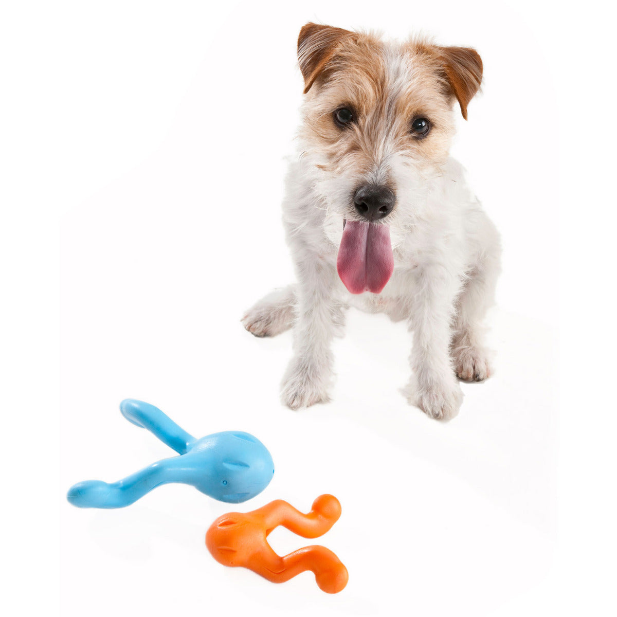 West Paw Tizzi Dog Toy - Large - Aqua Blue
